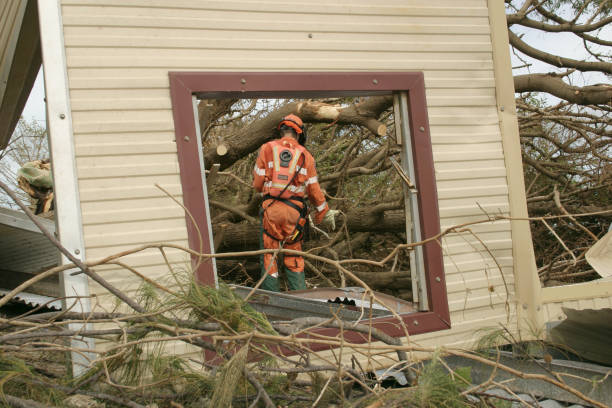 Best Firewood Processing and Delivery  in Meadows Place, TX
